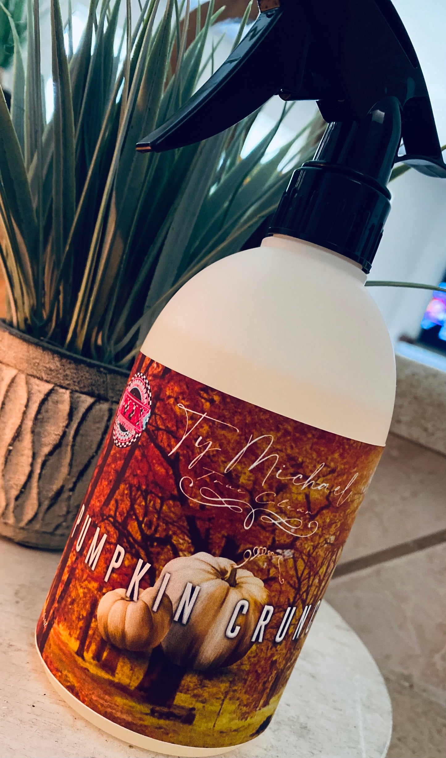 Ty Michael - True clean spray